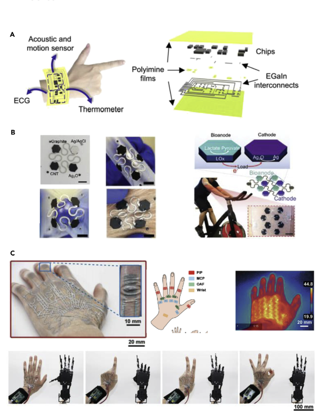 NSIN Project photos 1
